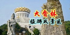 啊啊啊大鸡巴视频中国浙江-绍兴大香林旅游风景区